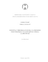 Tehnička vibrodijagnostika na primjeru industrijskog stacionarnog stroja za brušenje