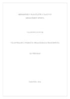 prikaz prve stranice dokumenta Volontiranje u području organiziranja Špancirfesta